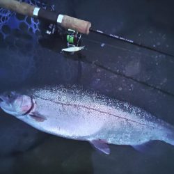 アタリは多かったが… ～天竜川ルアーフライ専用区～